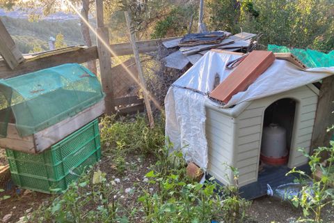 Landejendom i El Perello, Tarragona, El Perello - € 30.000 | Ref: Finca Javier Bi - foto 30